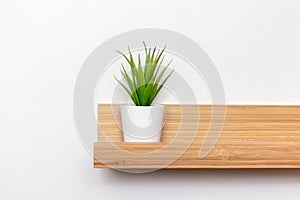 Potted green plant in white flowerpot on wooden shelf in front of white wall with copy space, minimalistic scandinavian interior