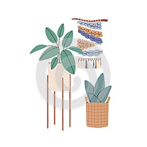 Potted home plants and macrame panel. Modern decoration for home interior design. Floor houseplants in planters and wall