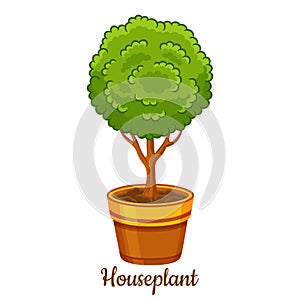 Potted houseplant, decorative garden tree plant in flower pot icon. Home gardening, grow bush seedling indoor. Exotic herb. Vector