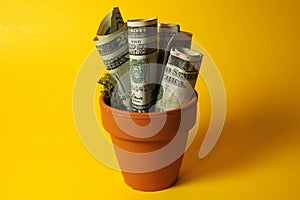 Potted Money