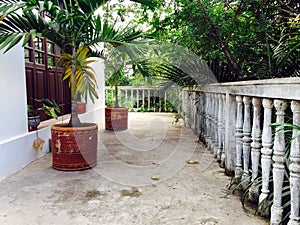 POTTED PALM TREES ON PORCH, YUNGUILLA VALLEY ECUADOR photo