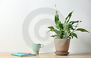 Potted peace lily plant, cup and notebook on wooden table near white wall