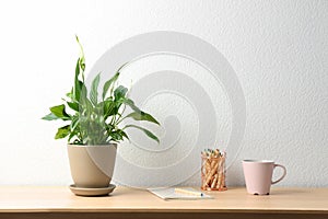 Potted peace lily plant, cup and notebook on wooden table near white wall