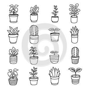 Potted Plant Doodle vector icon set. Drawing sketch illustration hand drawn line eps10