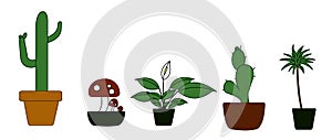 Potted Plant Illustration