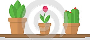 Potted Plant Illustration