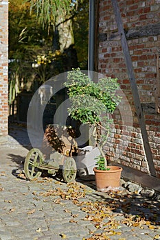 Potted plant and other objects as decoration in front of a house on a farm