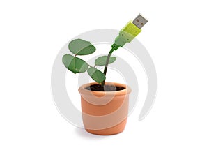 Potted plant with usb cable