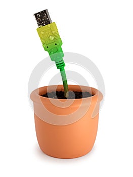 Potted plant with usb cable