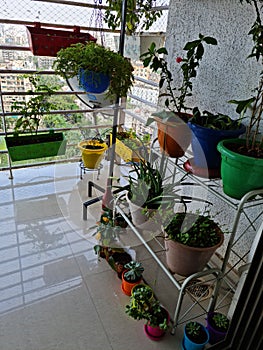 Potted plants in balcony of house for hobby