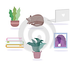 Potted plants cat books picture and laptop icons set