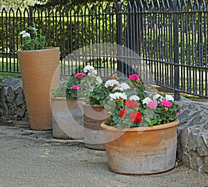 Potted plants flowers tall small garden path summer