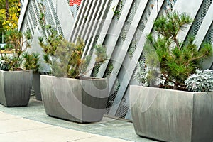 Potted plants in industrial area of downtown urban city in office park or business building with metal facade of structure