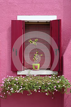 Potted plants near window of pink house