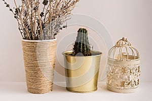 Potted Plants On Table Against White Background