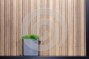 potted stabilized moss on wooden background