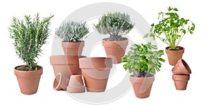 Potted with terracota pots on white background photo