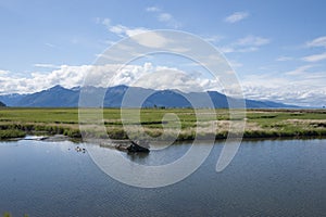 Potter Marsh Wildlife Refuge Anchorage Alaska