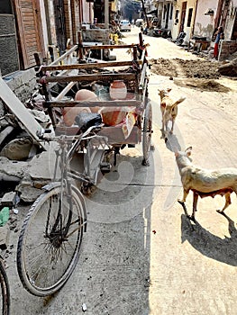 Potter's village Kumahar Wali Gali Parjapat Colony Bindapur Delhi.