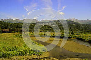 Potters marsh in Alaska