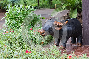 The pottery of buffalo in the garden for decoration