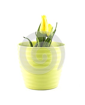 Pottery flowerpot