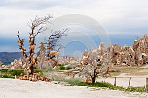 Pottery is hanging on a tree on the roadside in Goreme. Cappadocia