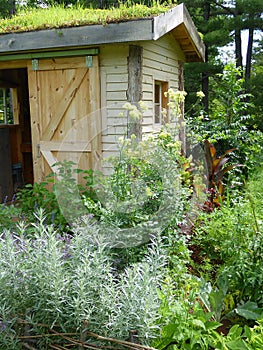 Potting Shed with Roof Garden