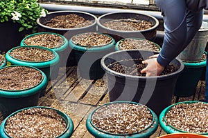 potting soil in large pots