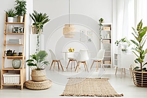 Pouf in natural dining room