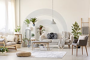 Pouf on rug and plants in spacious living room interior with gre