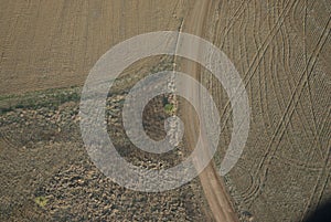 Poughed fields as viewed from the air_3