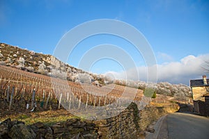 Pouilly and Solutre, Burgundy, France