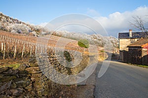 Pouilly and Solutre, Burgundy, France