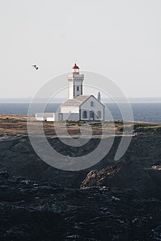 Poulains lighthouse on coast of the Atlantic Ocean at the northern tip of Belle Ile, Brittany France