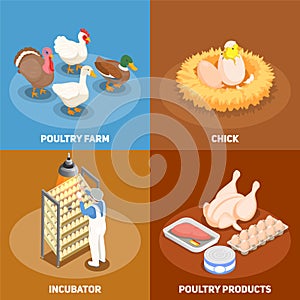 Poultry 2x2 Design Concept