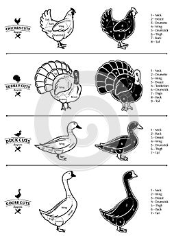 Poultry Cuts Diagrams photo