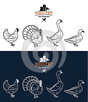 Poultry Cuts Diagrams