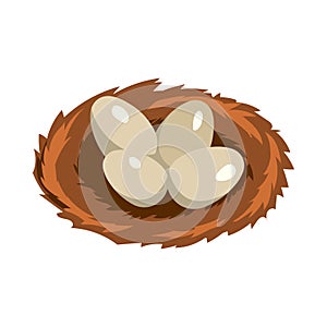 Poultry Eggs Nest Composition