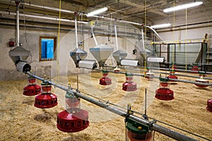 Poultry farm