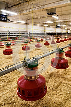 Poultry farm