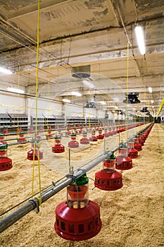 Poultry farm