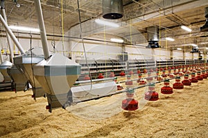 Poultry farm