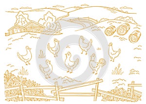 Poultry farm. Chicken factory. Free grazing. Barnyard. Village rural countryside landscape. Rustic fence. Hand drawn