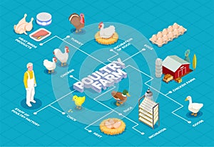 Poultry Farm Isometric Flowchart