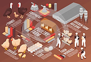 Poultry Farm Isometric Flowchart