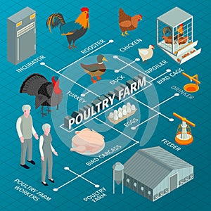 Poultry Farm Isometric Flowchart photo