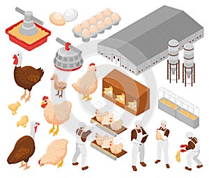 Poultry Farm Isometric Set