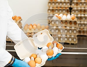 Poultry farm worker holding cardboard trays with chicken eggs