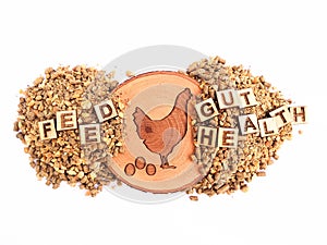 Poultry Feed Quality and chicken Gut Health